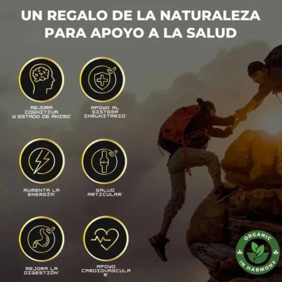 Shilajit + Rhino + Choco + Vi King – Energía, Potencia y Sabor en Cada Goma 💪🔥💪