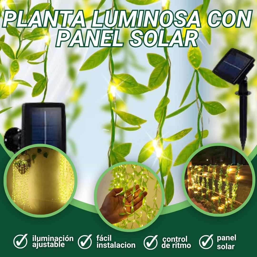 Guirnalda Enredadera Solar – EcoDecoración Natural ✨