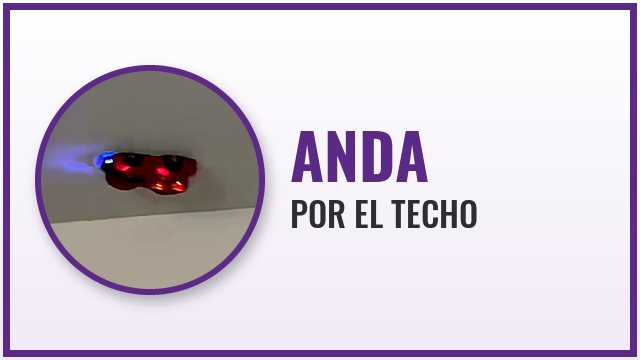 Anda por el techo