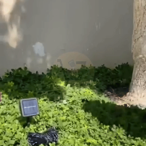 INSTALACIÓN LINEAL LED SOLAR x 10 METROS (control desde el panel)