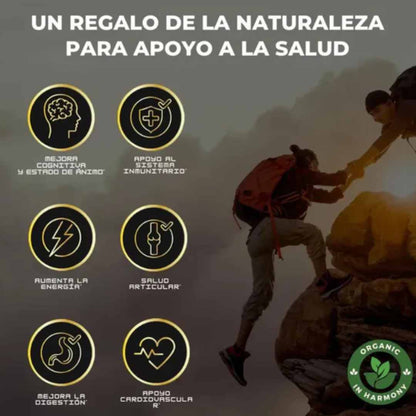 Shilajit + Rhino + Choco + Vi King – Energía, Potencia y Sabor en Cada Goma 💪🔥💪