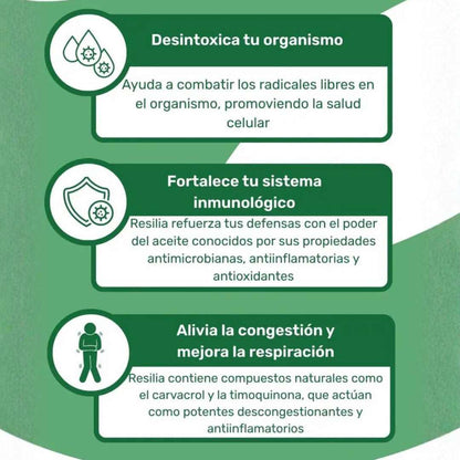 Aceite de Orégano – Tu Antibiótico Natural Poderoso 🌿