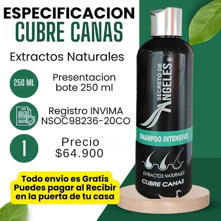 Shampoo Angeles Cubrecanas +  2 OBSEQUIO 🖤🧔🏻‍♀️