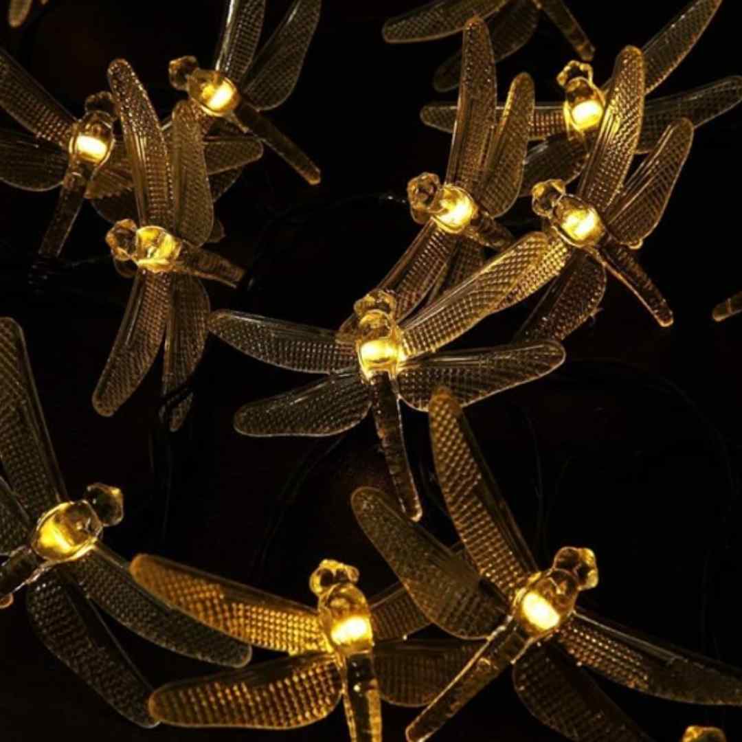 Guirnalda de luces de libélula, USB 5m