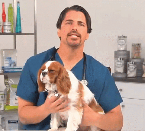 Cepillo Electrico Antipulgas y Garrapatas Flea Doctor 🐶😺