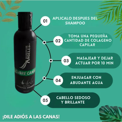 Shampoo Angeles Cubrecanas +  2 OBSEQUIO 🖤🧔🏻‍♀️