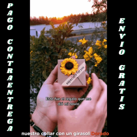 COLLAR GIRASOL SUNSHINE GC ✨🌻