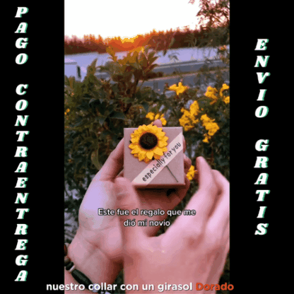 COLLAR GIRASOL SUNSHINE GC ✨🌻