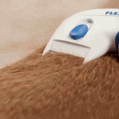 Cepillo Electrico Antipulgas y Garrapatas Flea Doctor 🐶😺 – Carrito Express Colombia