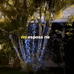 Encabezado