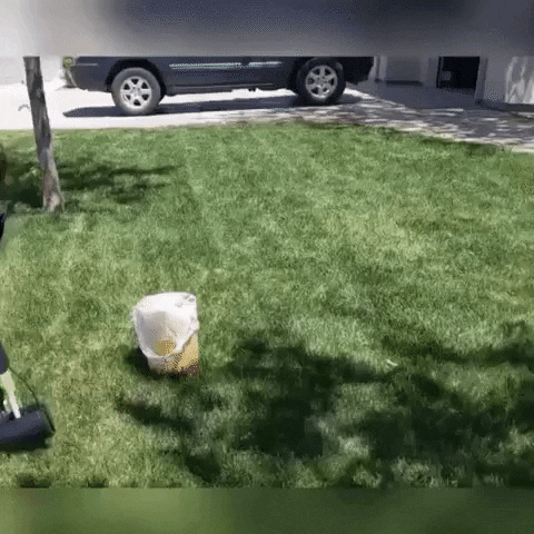 RECOGEDOR DE POPO DE MASCOTA